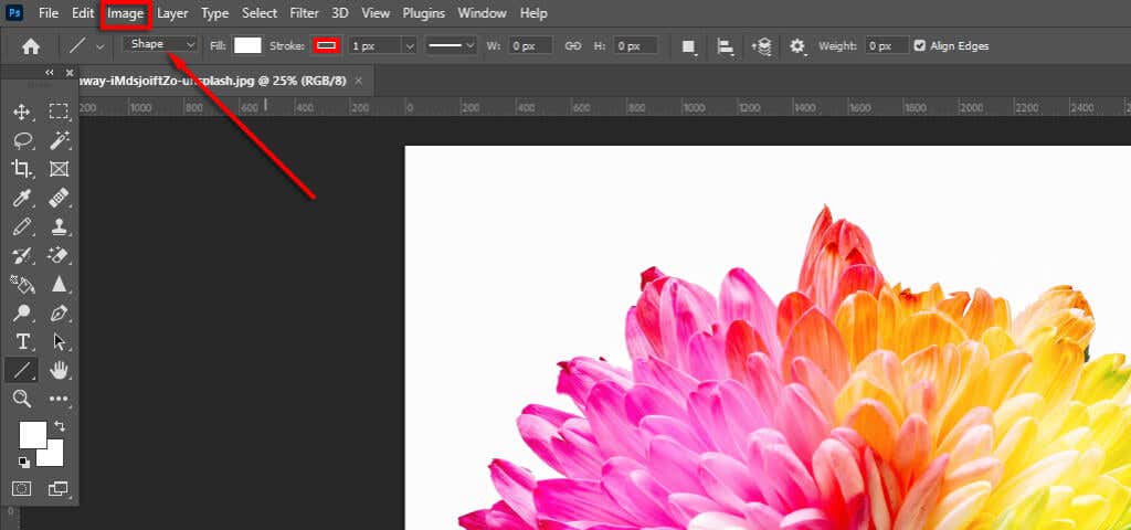 ott-how-to-make-an-image-đen-trắng-trong-photoshop-1-nén - Mẹo Kỹ Thuật Trực Tuyến Cách tạo một hình ảnh đen trắng