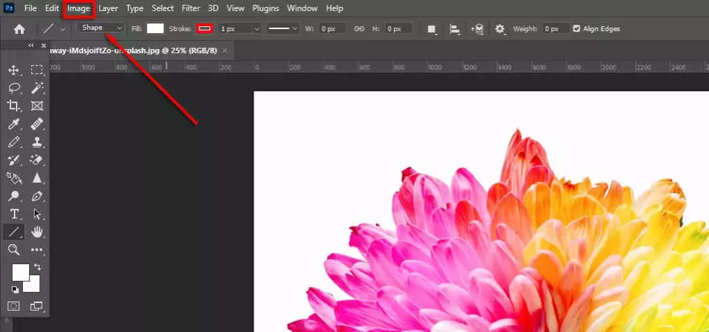 ott-how-to-make-an-image-đen-trắng-trong-photoshop-1-nén - Mẹo Kỹ Thuật Trực Tuyến Cách tạo một hình ảnh đen trắng