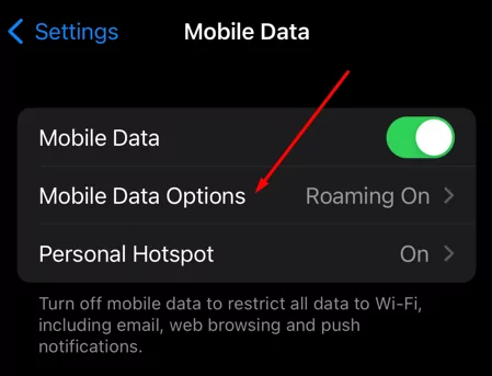 what-is-data-roaming-6-nén - Mẹo kỹ thuật trực tuyến ảnh chụp màn hình cài đặt tùy chọn dữ liệu di động