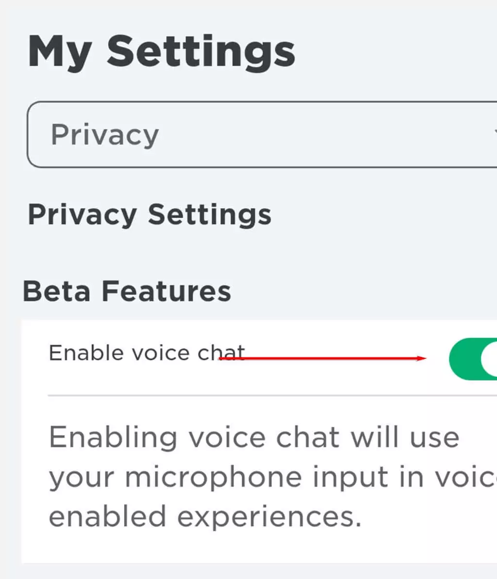 ott-how-to-enable-voice-chat-on-roblox-17-nén - Mẹo kỹ thuật trực tuyến Cách bật Trò chuyện thoại trên Roblox hình 12