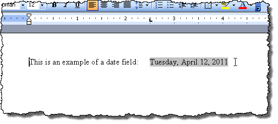 Ví dụ về tô bóng trường trong Word 2003 Ví dụ về tô bóng trường trong Word 2003