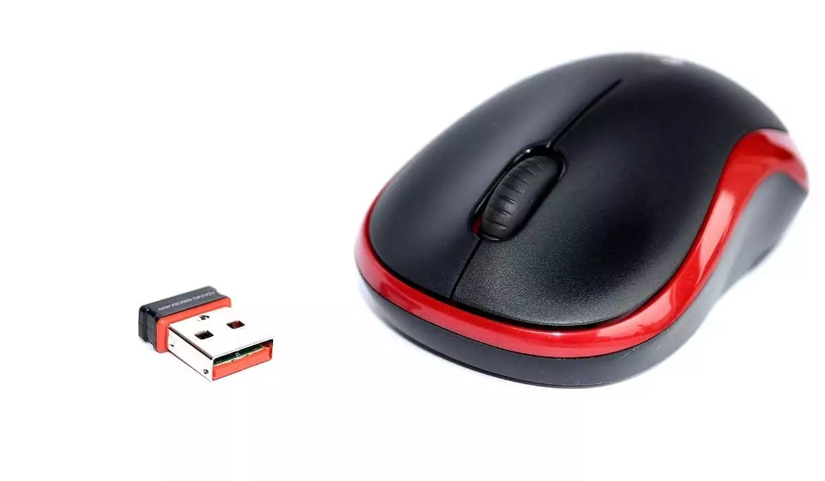 dongle-mouse - Mẹo công nghệ trực tuyến Ưu và nhược điểm của việc có chuột không dây hình 4