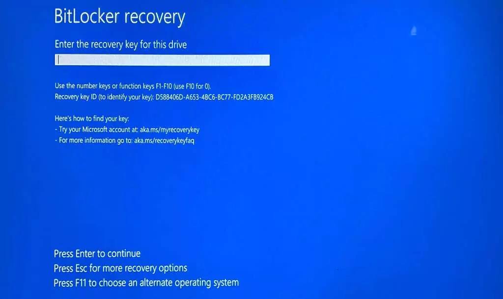 cách tìm-bitlocker-recovery-key-in-windows-5-nén - Help Desk Geek Cách tìm khóa khôi phục Bitlocker của bạn trong Windows image 5