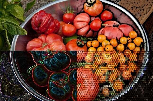 filter_examples_ph - Mẹo công nghệ trực tuyến Bộ lọc Photoshop là gì? hình ảnh
