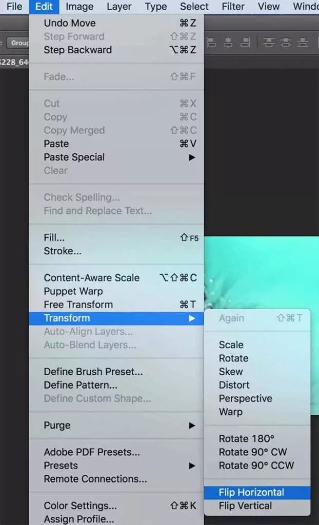 lật ngang - Online Tech Tips Phản chiếu một bức ảnh trong Photoshop hình ảnh 5