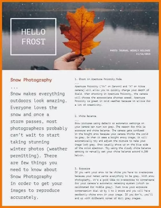 Frost - Mẹo công nghệ trực tuyến Xin chào Frost – Hình ảnh Adobe Spark