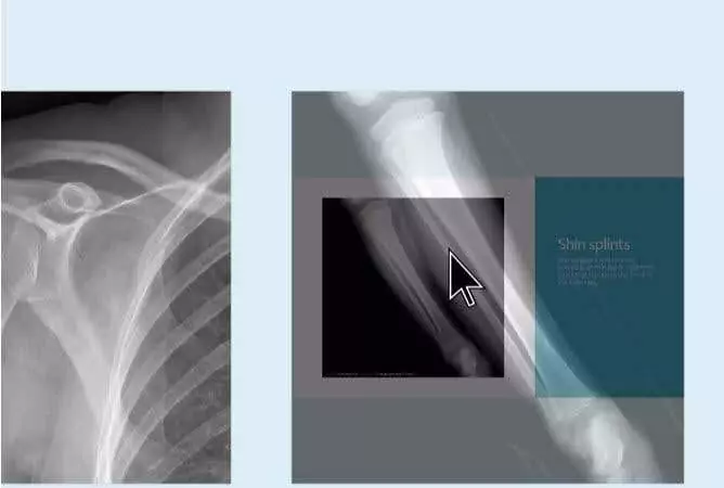 zoom-powerpoint - Bộ phận trợ giúp Geek Những tính năng mới hay nhất trong Microsoft Office 2019 hình 5