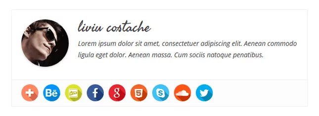 simple-author-box - Mẹo công nghệ trực tuyến Hình ảnh hộp tác giả đơn giản