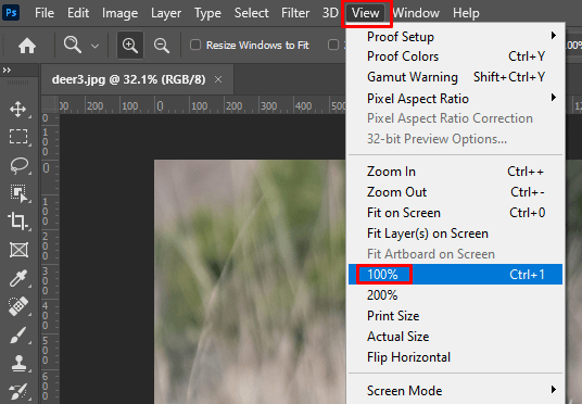 cách phóng to-thu nhỏ-photoshop-9-nén - Mẹo Kỹ Thuật Trực Tuyến Cách Zoom (In và Out) trong ảnh Photoshop 9