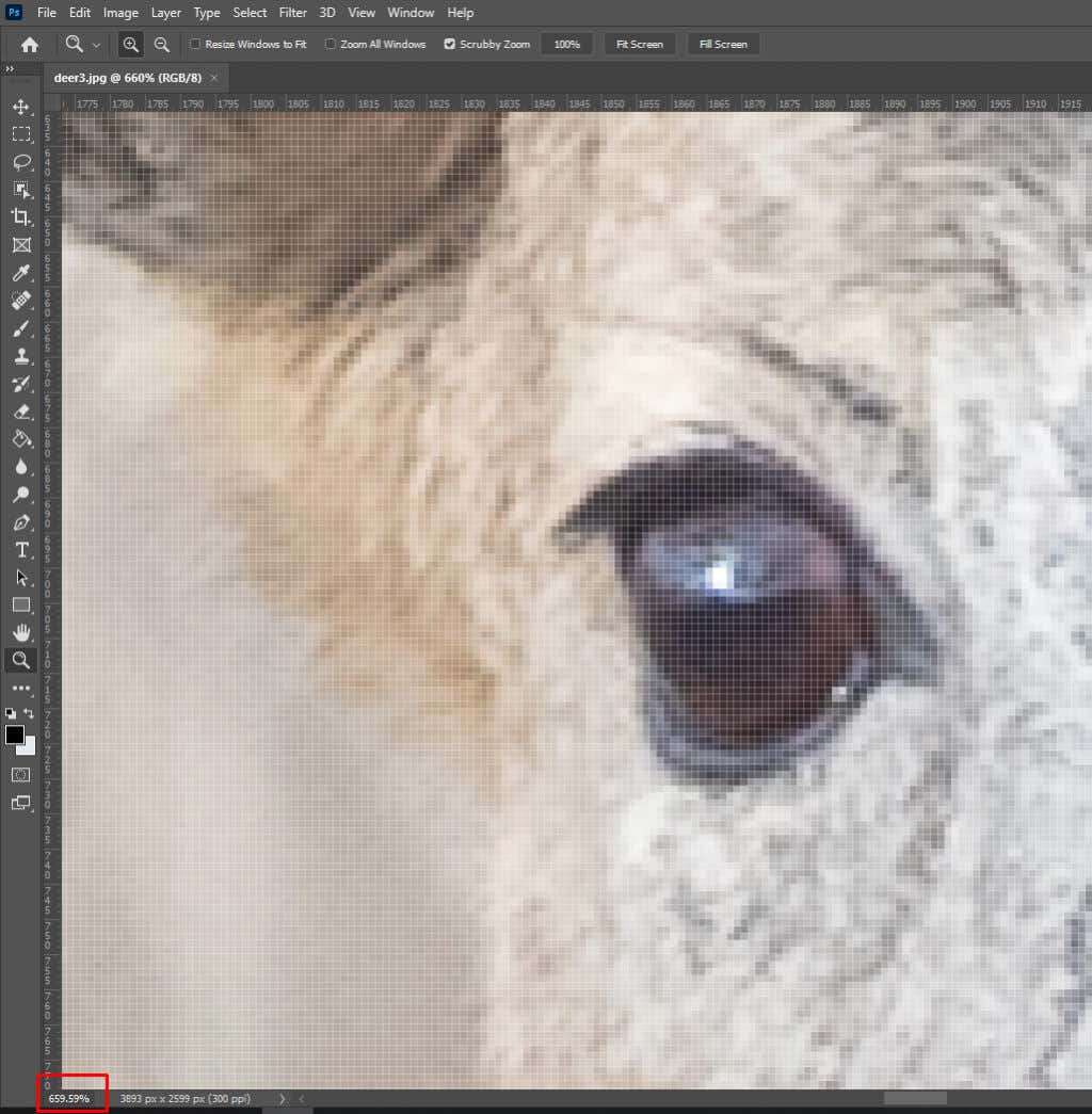 cách phóng to-thu nhỏ-photoshop-10-nén - Mẹo Kỹ Thuật Trực Tuyến Cách Zoom (In và Out) trong ảnh Photoshop 10