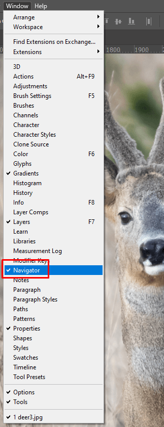 cách phóng to-thu nhỏ-photoshop-13-nén - Mẹo Kỹ Thuật Trực Tuyến Cách Zoom (In và Out) trong Photoshop ảnh 13