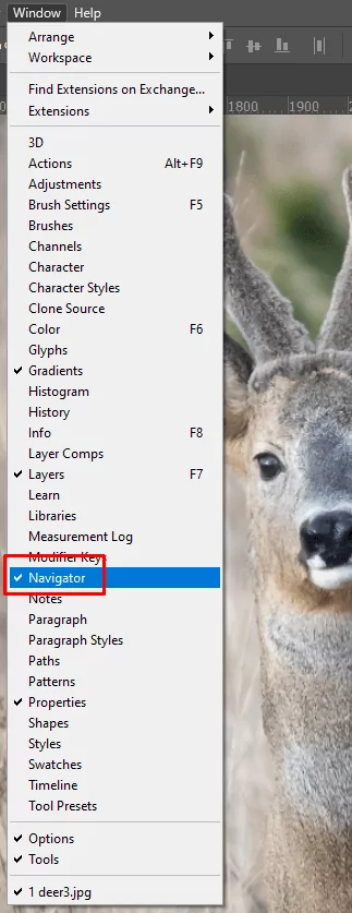 cách phóng to-thu nhỏ-photoshop-13-nén - Mẹo Kỹ Thuật Trực Tuyến Cách Zoom (In và Out) trong Photoshop ảnh 13