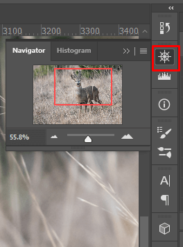 cách phóng to-thu nhỏ-photoshop-11-nén - Mẹo Kỹ Thuật Trực Tuyến Cách Zoom (In và Out) trong ảnh Photoshop 11