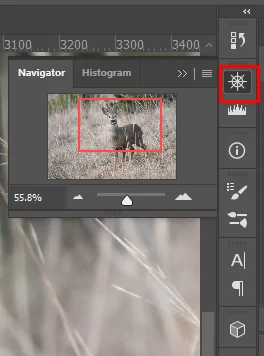 cách phóng to-thu nhỏ-photoshop-11-nén - Mẹo Kỹ Thuật Trực Tuyến Cách Zoom (In và Out) trong ảnh Photoshop 11