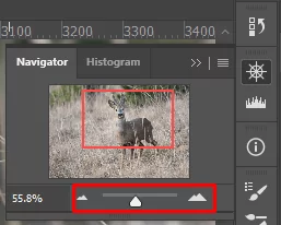cách phóng to-thu nhỏ-photoshop-14-nén - Mẹo Kỹ Thuật Trực Tuyến Cách Zoom (In và Out) trong Photoshop ảnh 14
