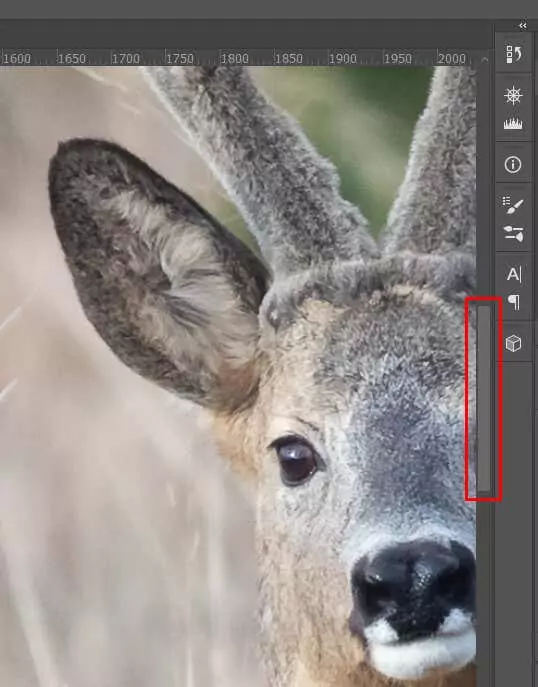 cách phóng to-thu nhỏ-photoshop-17-nén - Mẹo Kỹ Thuật Trực Tuyến Cách Zoom (In và Out) trong ảnh Photoshop 17