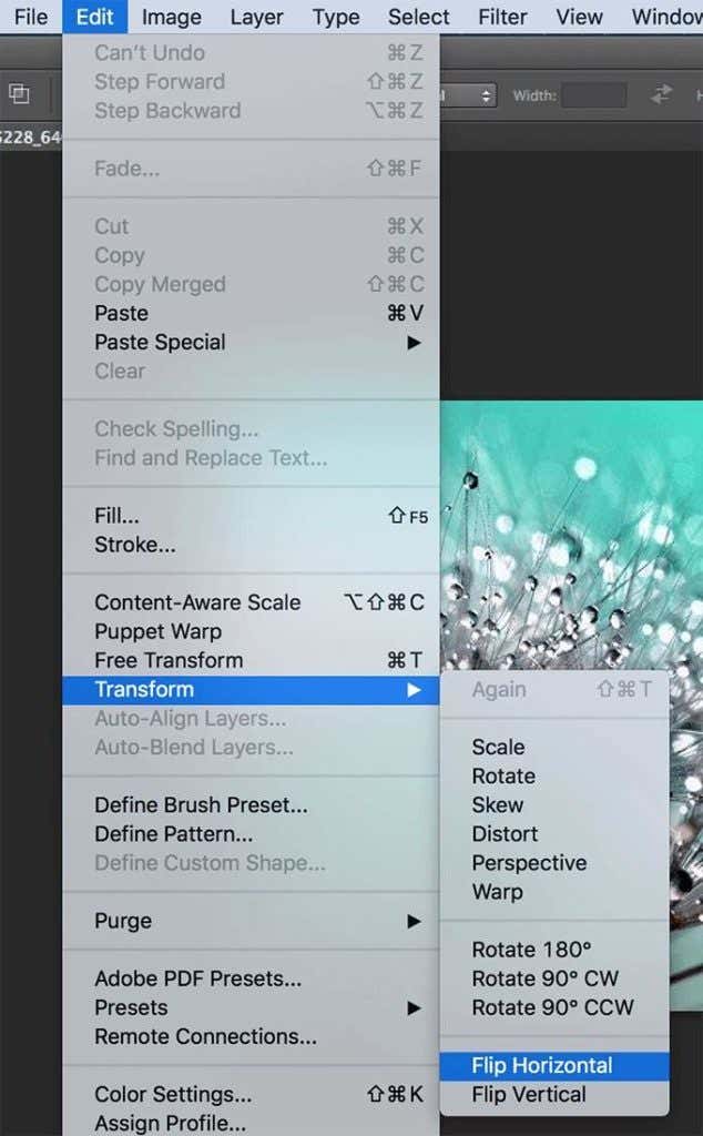flip-layer - Mẹo kỹ thuật trực tuyến Lật một hình ảnh trong Photoshop hình ảnh 2