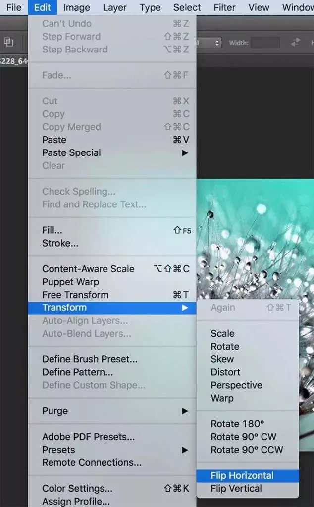flip-layer - Mẹo kỹ thuật trực tuyến Lật một hình ảnh trong Photoshop hình ảnh 2