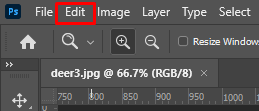 cách phóng to-thu nhỏ-photoshop-3-nén - Mẹo Kỹ Thuật Trực Tuyến Cách phóng to và thu nhỏ ảnh Photoshop 3