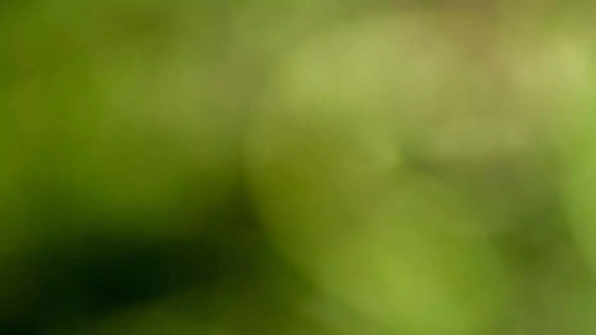 is-your-phone-máy ảnh-blurry-thử-này-14-fixes-1-nén - Mẹo công nghệ trực tuyến Camera điện thoại của bạn có bị mờ không? Hãy thử hình ảnh 14 cách khắc phục này