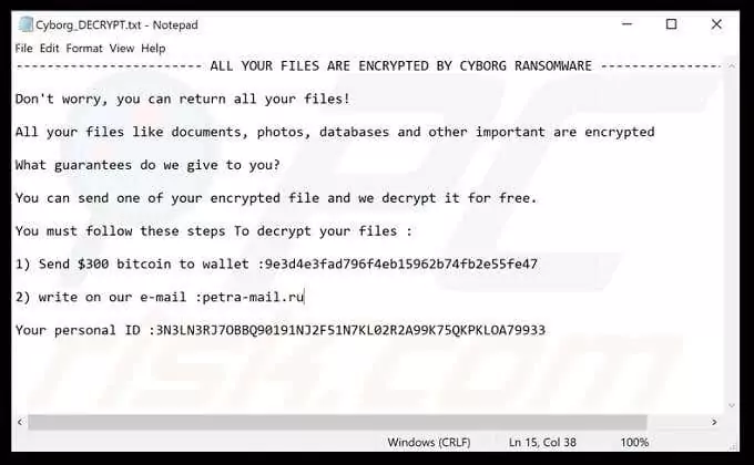 Cyborg-Ransomeware - Mẹo công nghệ trực tuyến Các loại Virus máy tính thường gặp hình ảnh 3