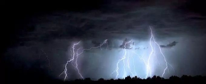 Đột biến là gì?  hình ảnh